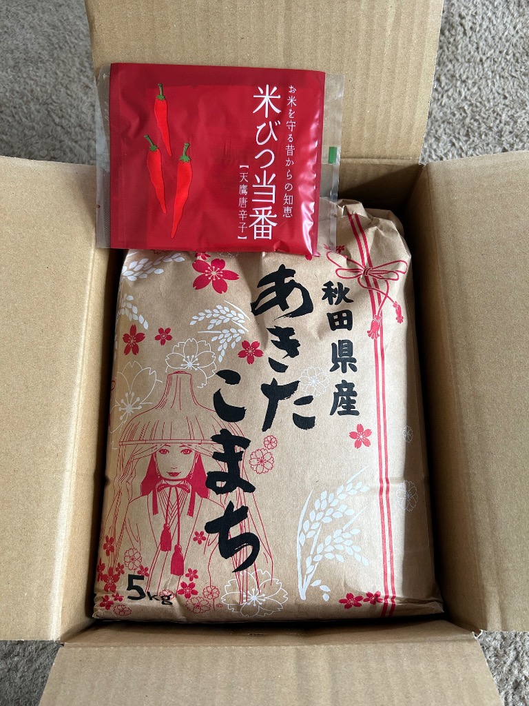 あきたこまち 【お助け5kg】令和7年産 あきたこまち家計お助け米