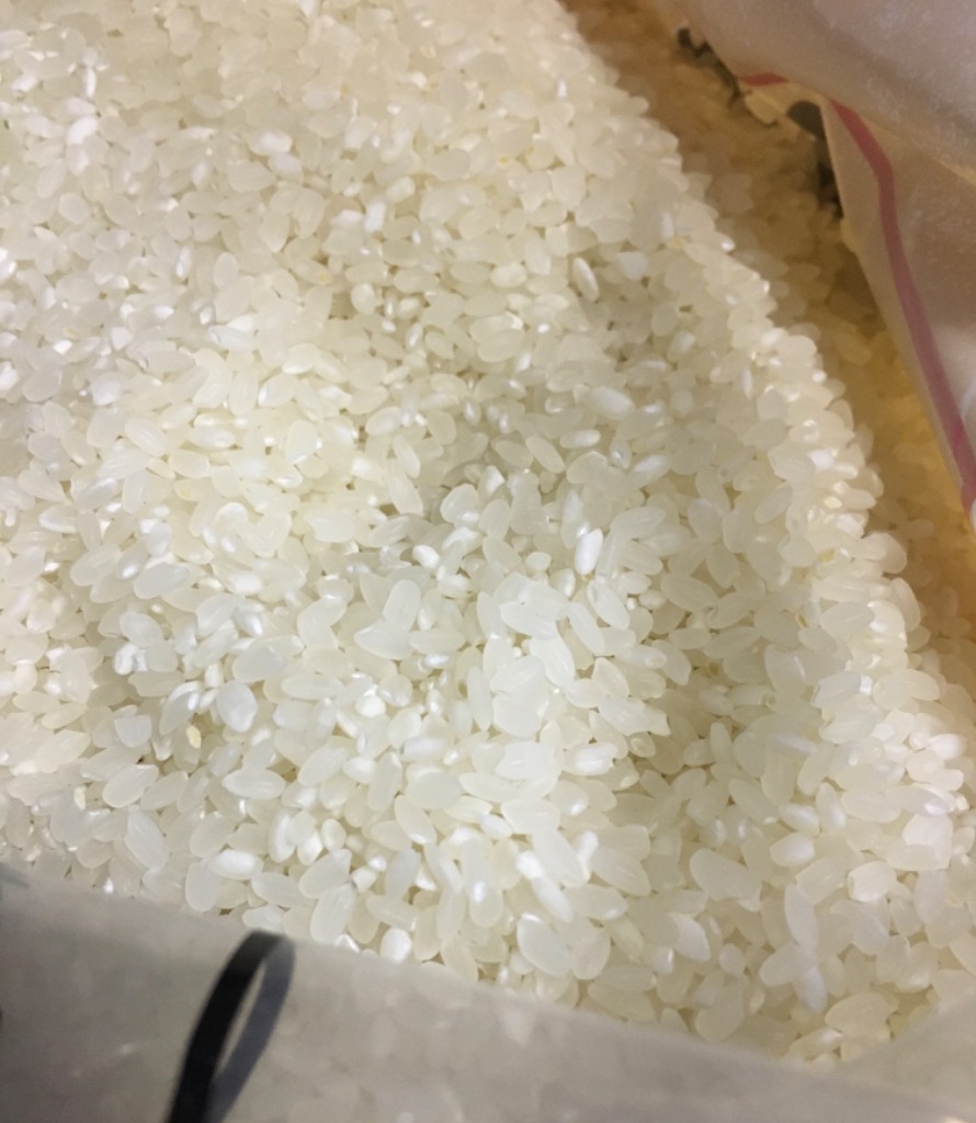送料無料 生活応援米 佐賀県産 「産直の米」つきたて精米工場 送料無料 生活応援米 佐賀県産 「産直の米」つきたて精米工場