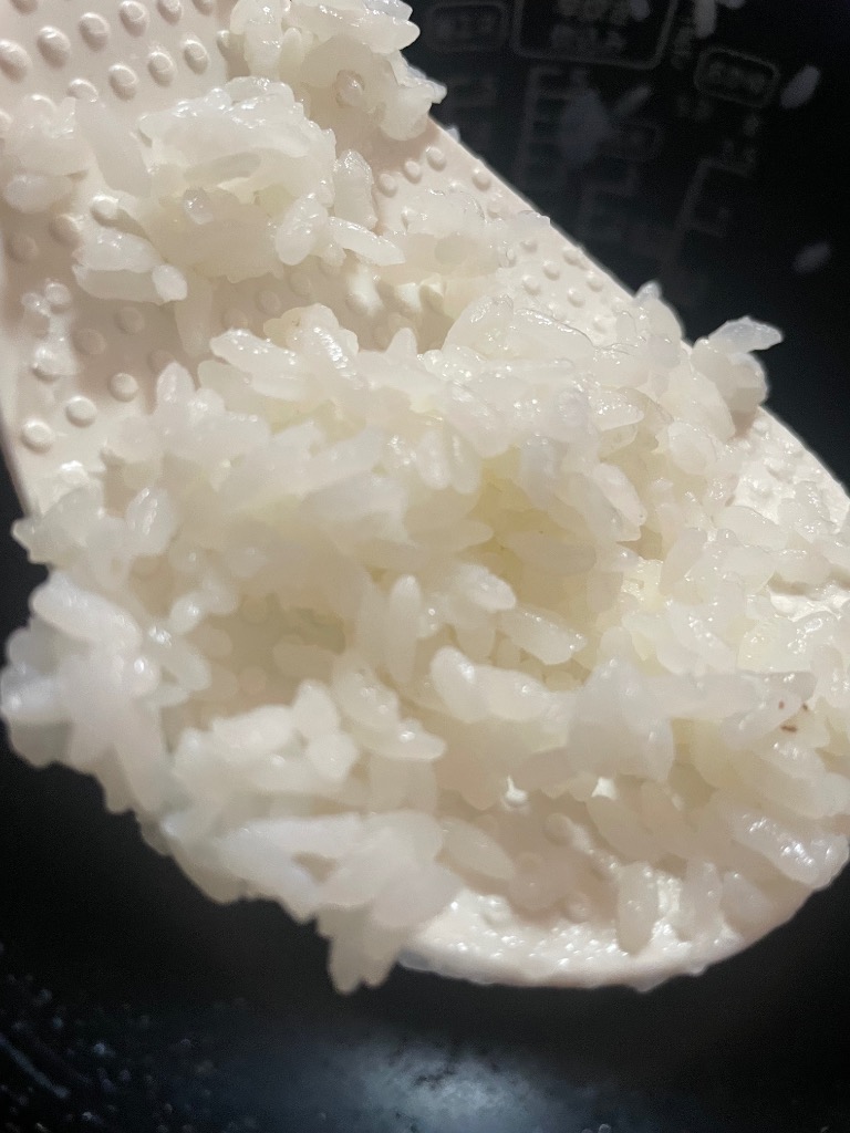送料無料 訳あり激安 九州佐賀県産100%複数原料米 つきたて 送料無料 訳あり激安 九州佐賀県産100%複数原料米 つきたて