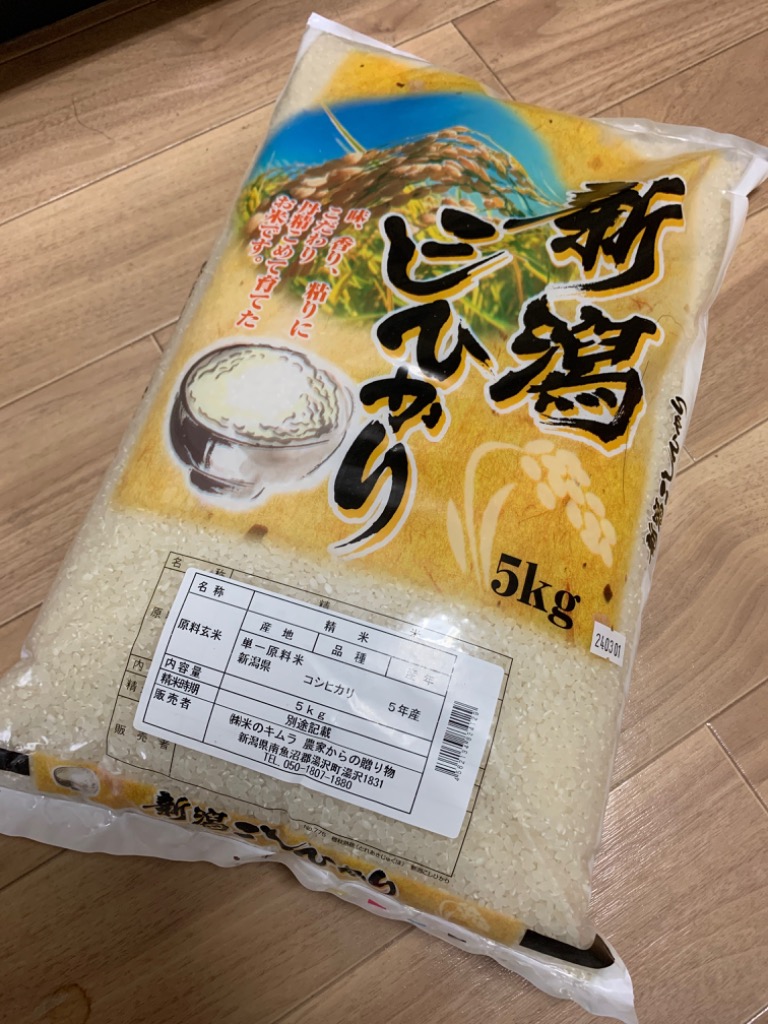 米 令和5年 お米 5kg 送料無料 新潟県産 コシヒカリ 白米 5kg （5kg×1