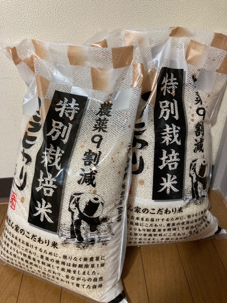 レビュー画像