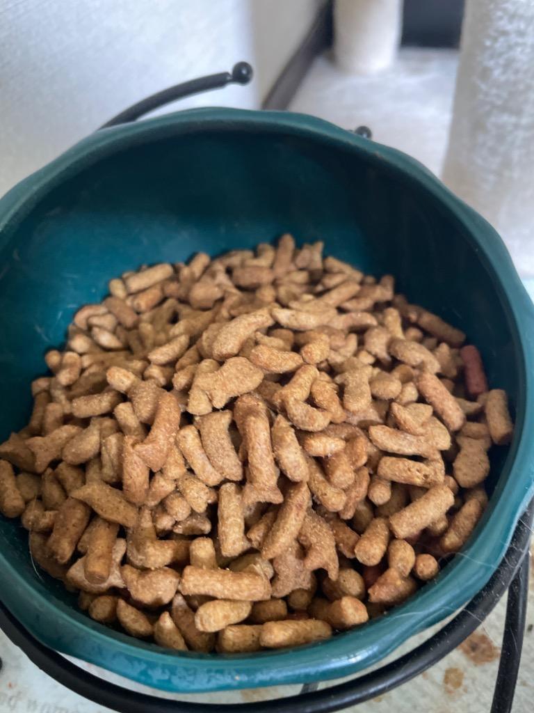 スマック キャットスマック にゃんズ満足 多頭飼い用 かつお味