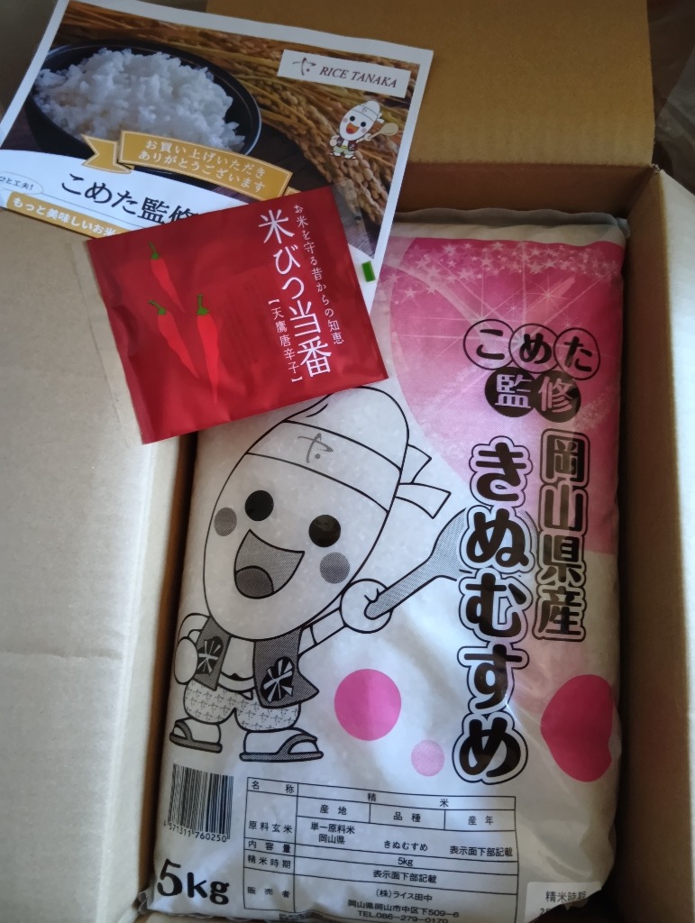 特Aクラス R6新米 きぬむすめ 10kg c00659fe164824269be3803b7f52a4