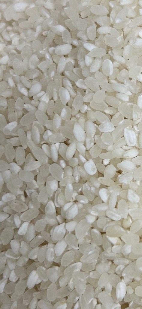 令和7年産】国内産 ほほえみ米 10kg (5kg×2個) お米 米 ごはん 備蓄