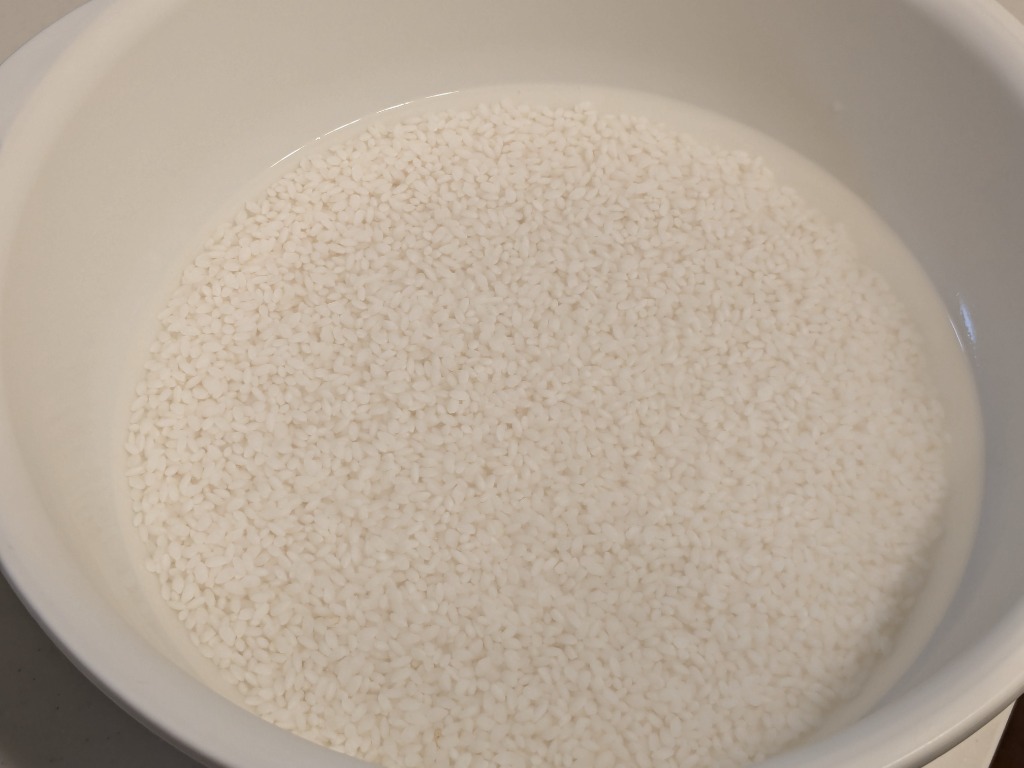 玄米 10kg ハナエチゼン 石川県産 令和6年 新米 5kg×2袋 10キロ