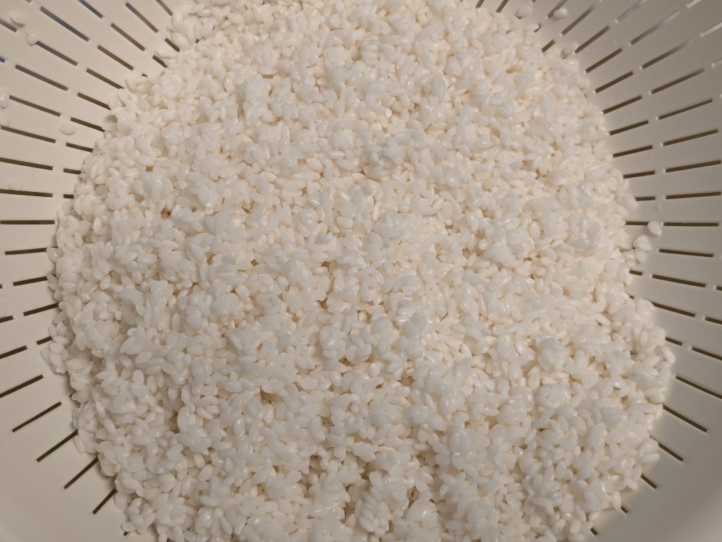 玄米 10kg ハナエチゼン 石川県産 令和6年 新米 5kg×2袋 10キロ