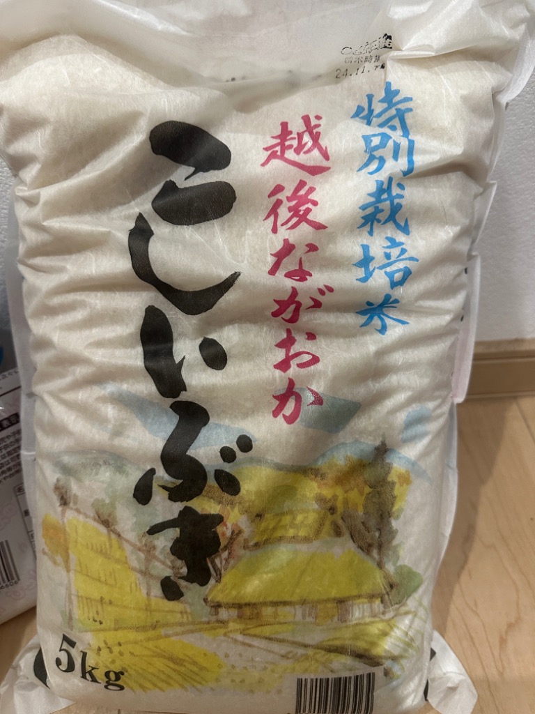 こしいぶき 令和6年産 お米 10kg 白米 特別栽培米 新潟産こし