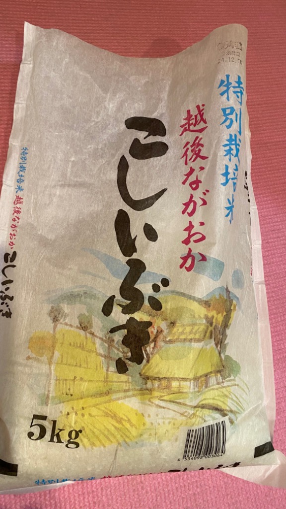 こしいぶき 令和6年産 お米 10kg 白米 特別栽培米 新潟産こし