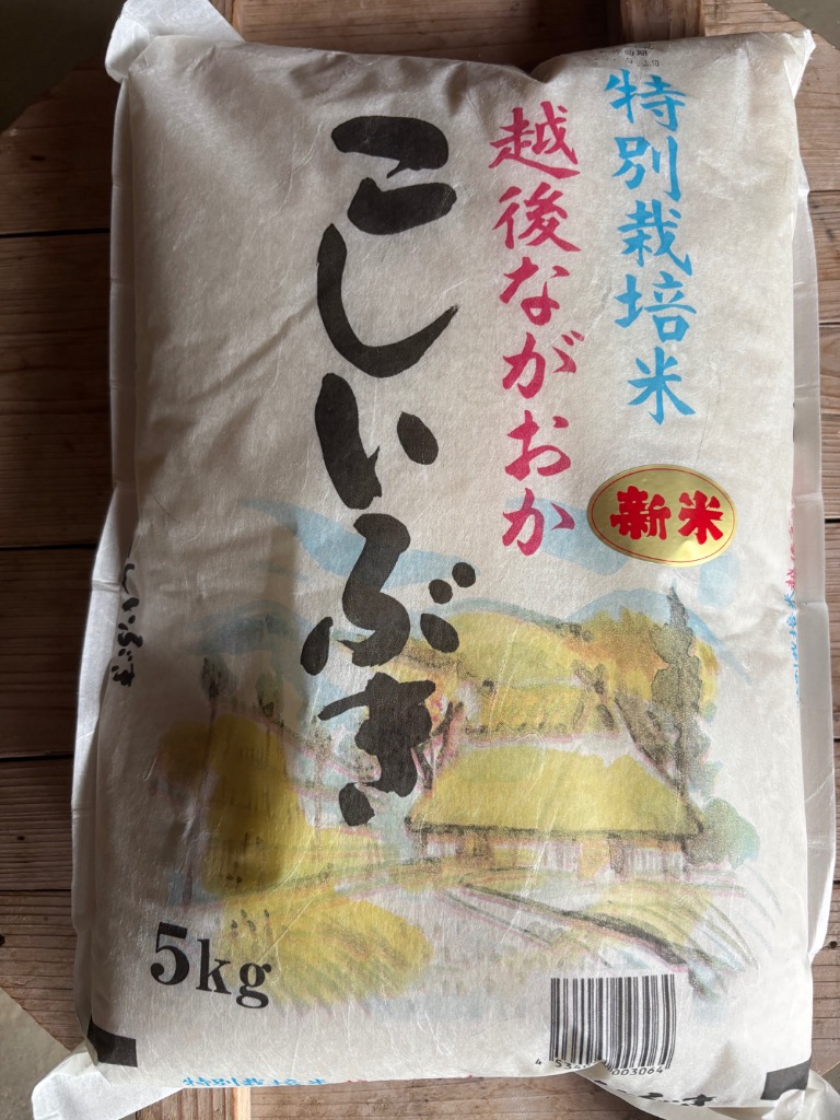 こしいぶき 新米 令和8年産 10kg 新潟県産こしいぶき 白米 特別栽培米