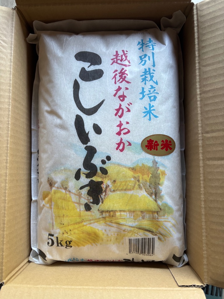 こしいぶき 新米 令和8年産 10kg 新潟県産こしいぶき 白米 特別栽培米