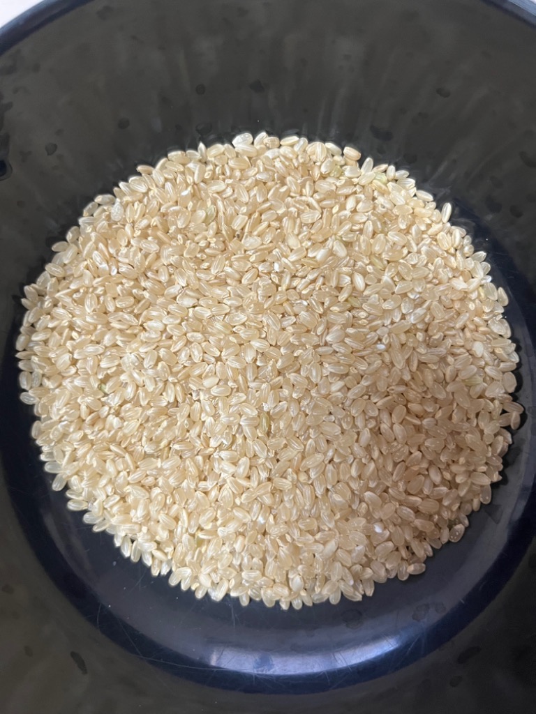 コシヒカリ 米 お米 令和6年産 福島県中通り産 玄米:30kg(白米 コシヒカリ 米 お米 令和6年産 福島県中通り産 玄米:30kg(白米