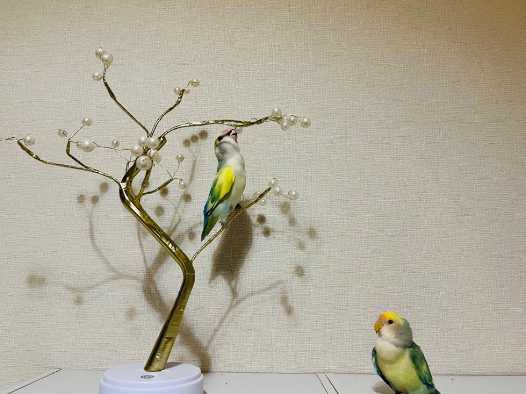 全体のレビュー画像 | 3-1