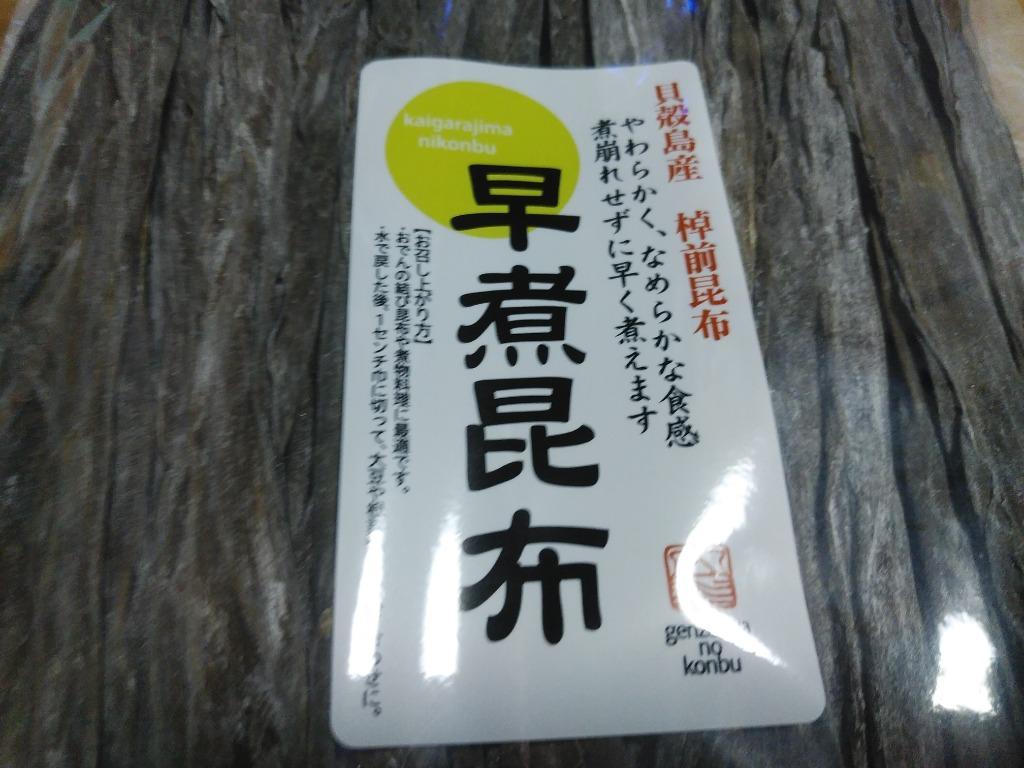 ギフト】 昆布 早煮昆布 200g 貝殻島産 おでん 結び昆布 煮もの 昆布巻 arkhitek.co.jp