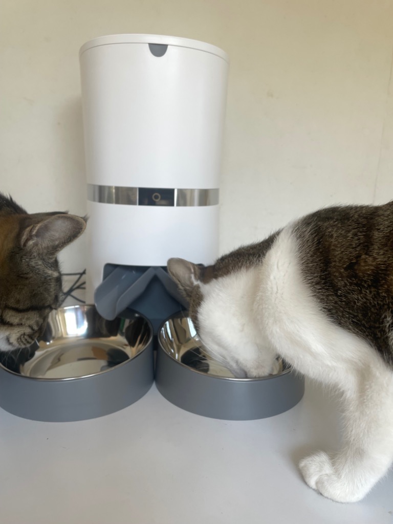 WellToBe 自動給餌器 猫 2匹用 自動餌やり機 タイマー式 2WAY