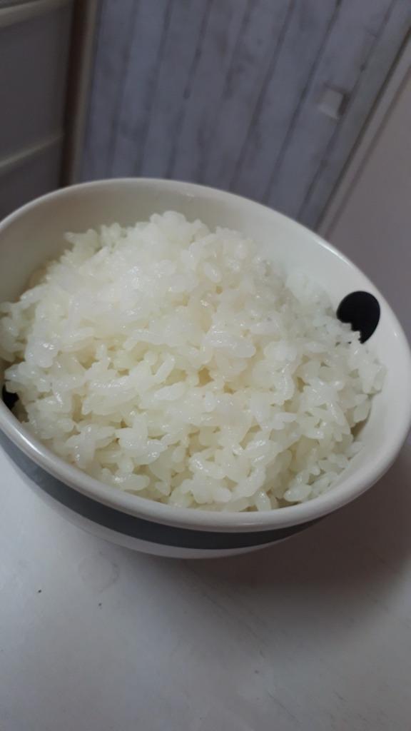 コシヒカリ 業務用お米 白米20kg（5kg×4袋） 新潟県産 未検査米
