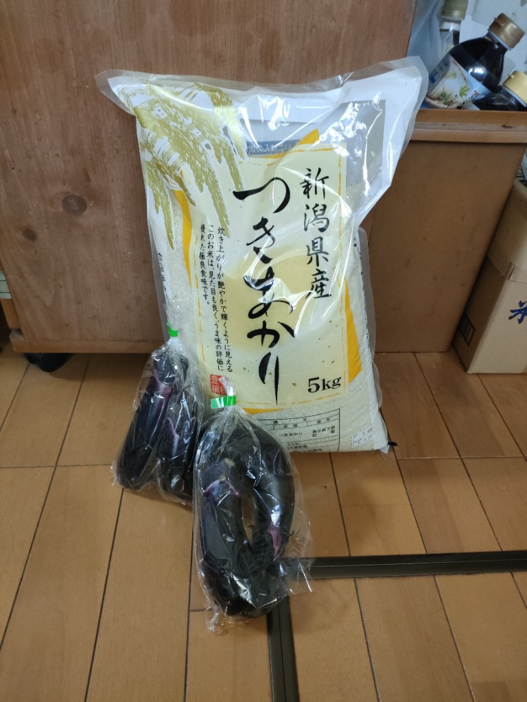 米 5kg 令和6年 新潟産 つきあかり 白米 プレゼント付き 精米 お