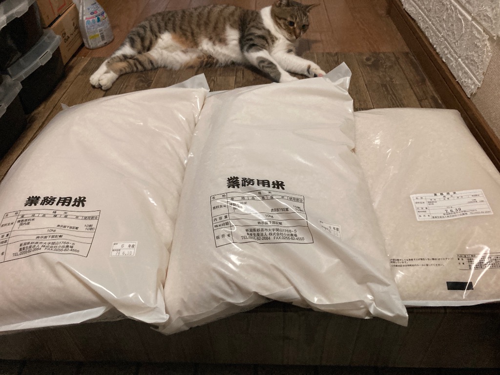 残りわずか！訳ありブレンド米25kg！ ゆきの精 米 令和6年 訳あり米 25kg 送料無料 令和6年産 新潟産