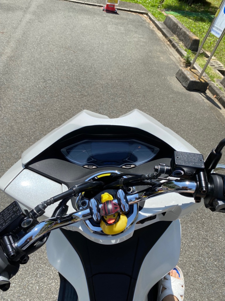 PCX(JK05KF47) デビルマスク ☆塗装済☆ : バイクカスタムパーツ