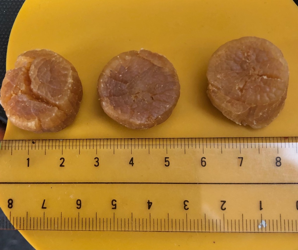 寿物産 北海道産 ほたて干し貝柱 乾燥 100g 割れ（ブロークン