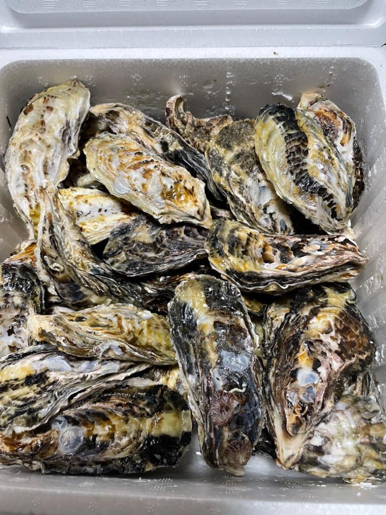 牡蠣 殻付き 生牡蠣 特大 加熱用 3kg 2kg 室津 直送 朝取れ かき カキ : oyster-w : 幸永丸水産 ヤフー店 - 通販 -  Yahoo!ショッピング