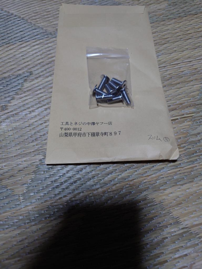 盗難防止ネジ 4本セット ステンレス トルクス スリムヘッド 盗難防止ネジ 4本セット ステンレス トルクス スリムヘッド