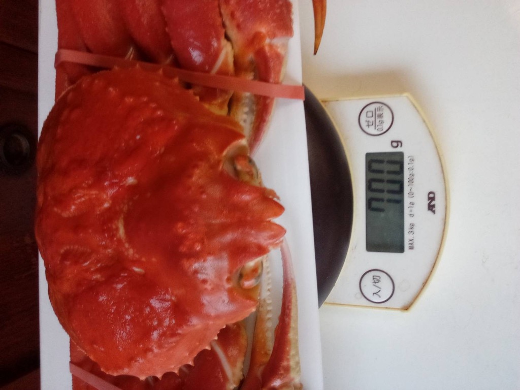 全体のレビュー画像 | 3-0