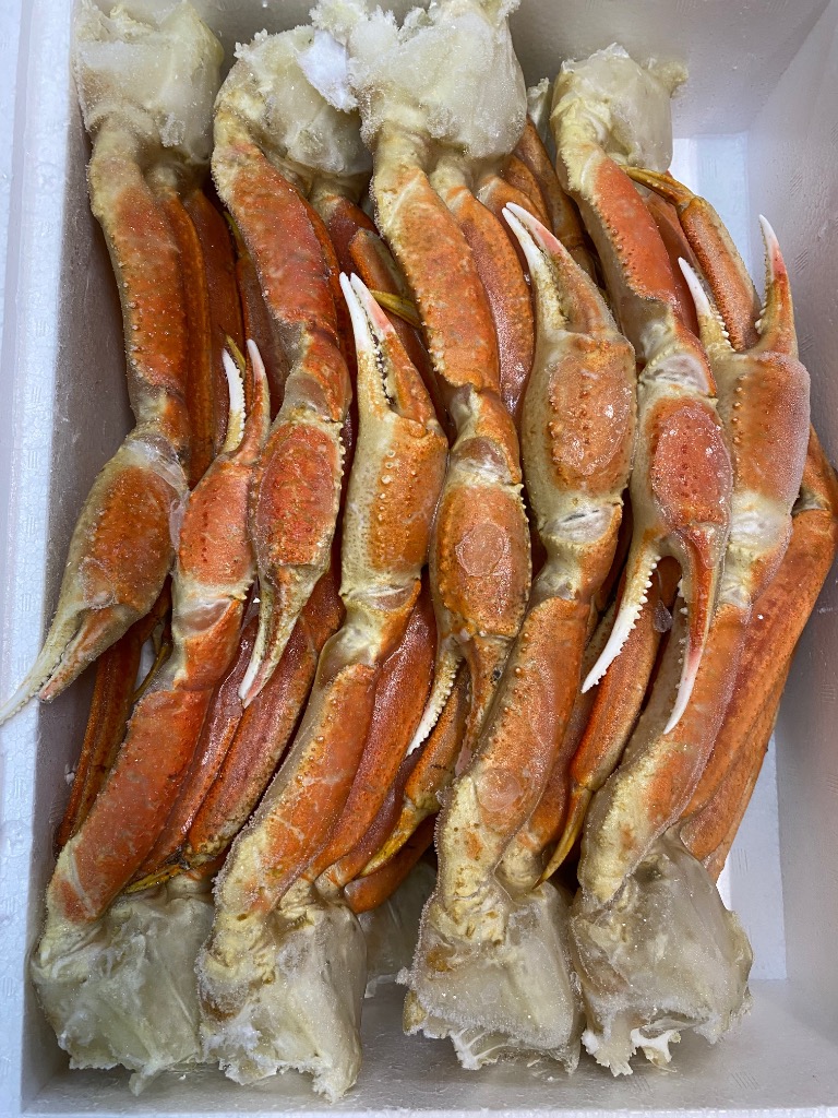 全体のレビュー画像 | 1-0