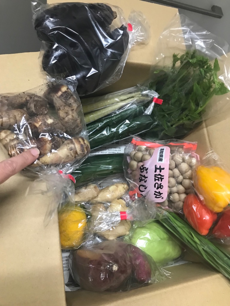 レビュー画像