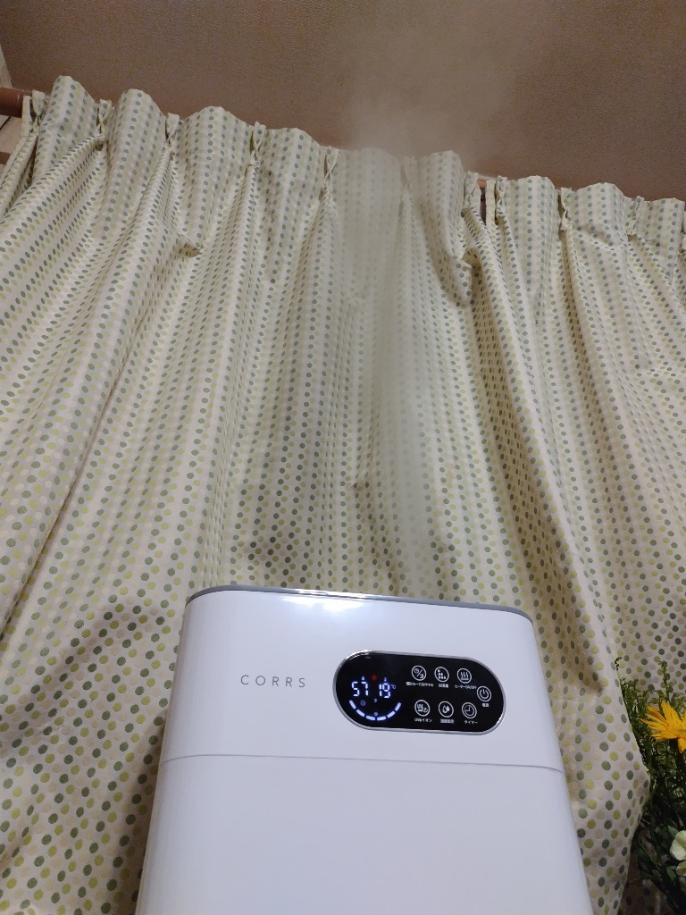 レビュー画像