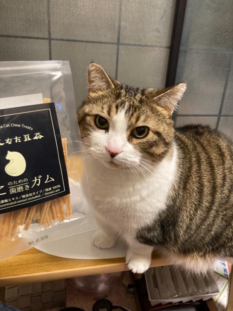 初回お試し限定　丹波なた豆茶 猫想いのNyan care （にゃんケア）　8包入＋丹波なた豆茶 個包装2個おまけつき