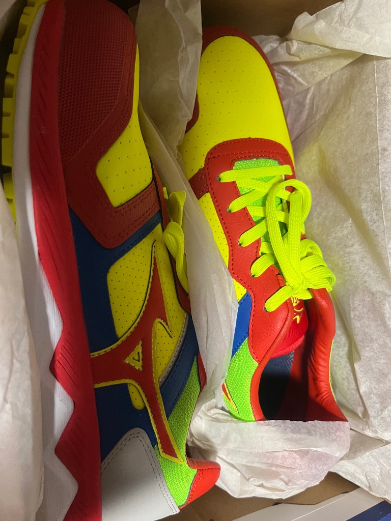 MIZUNO 安全靴 ミズノ mizuno F1GA2000 HW11L オールマイティ