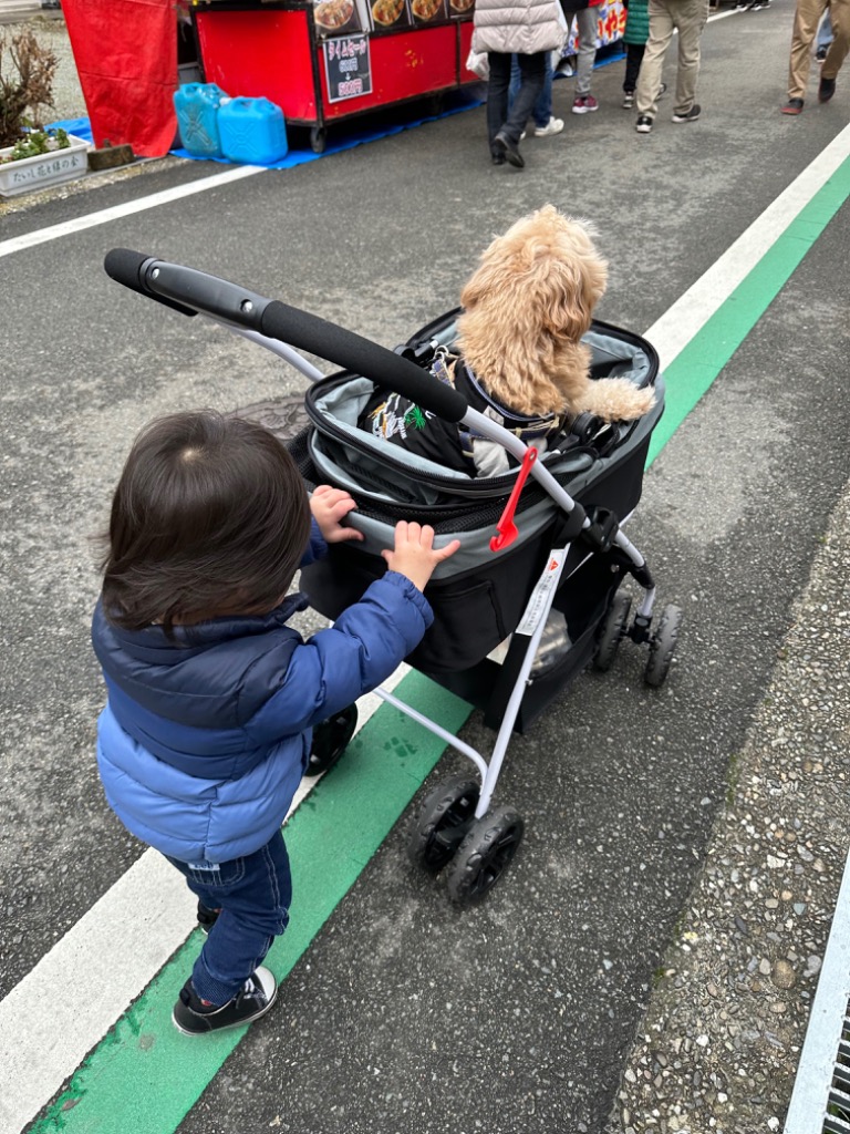 全体のレビュー画像 | 0-0