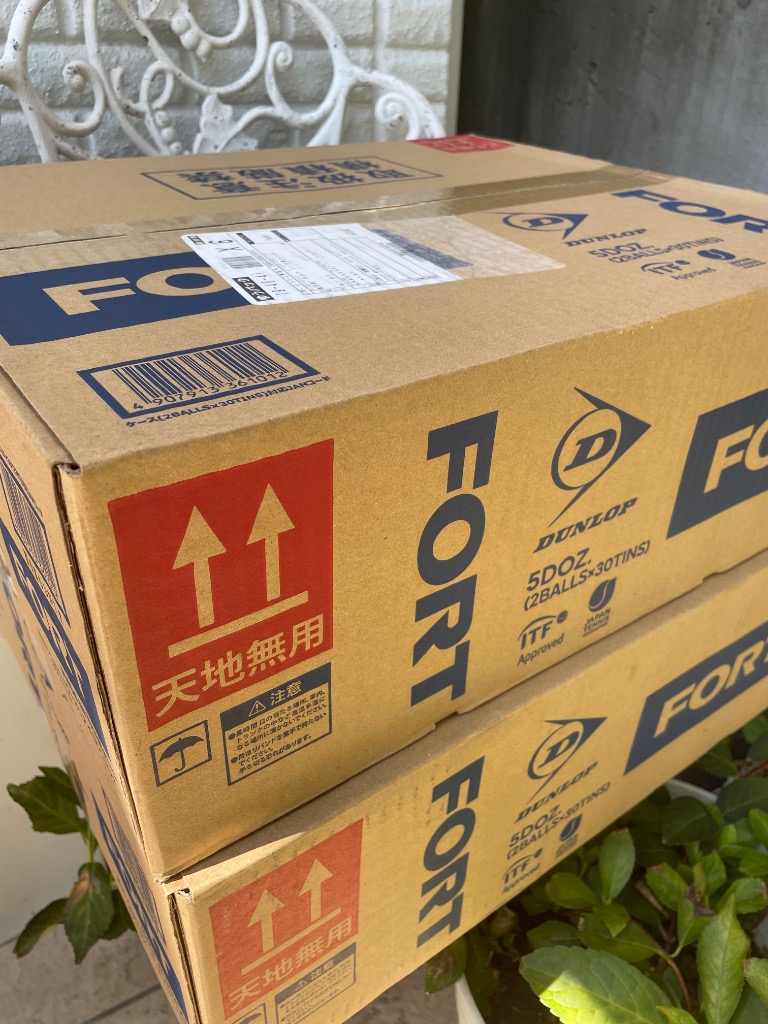 値下げ❗️新品❗️大特価❗️ダンロップ フォート 1箱 30缶 120球 DUNLOP ダンロップ FORT フォート 4球×30缶 120球 DFCPEYLPT4 1