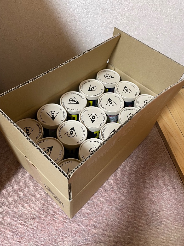 DUNLOP（ダンロップ） 「2球入×15缶セット 箱なし 「FORT フォート [2