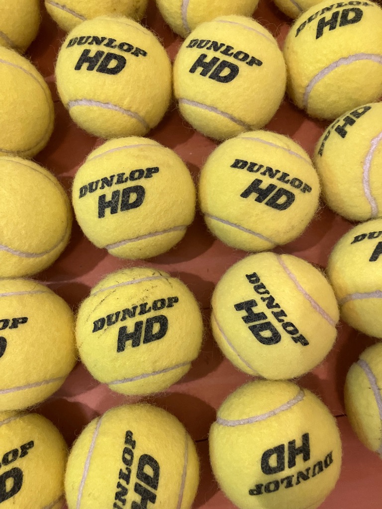 DUNLOP（ダンロップ） 「SDGsプロジェクト」ダンロップ 硬式テニス