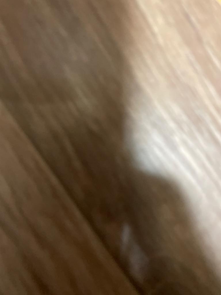 1件目のレビュー画像 | 0