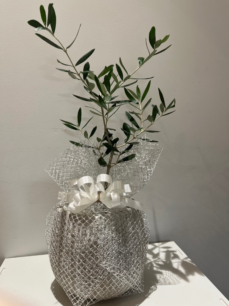 1件目のレビュー画像 | 0