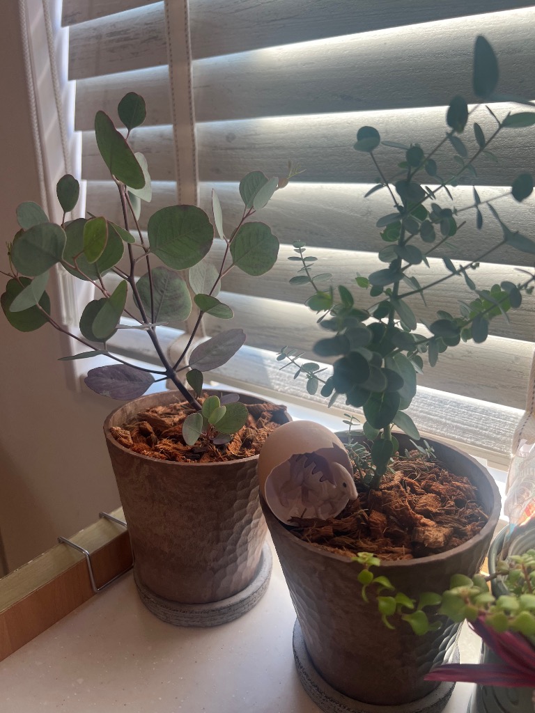 1件目のレビュー画像 | 0