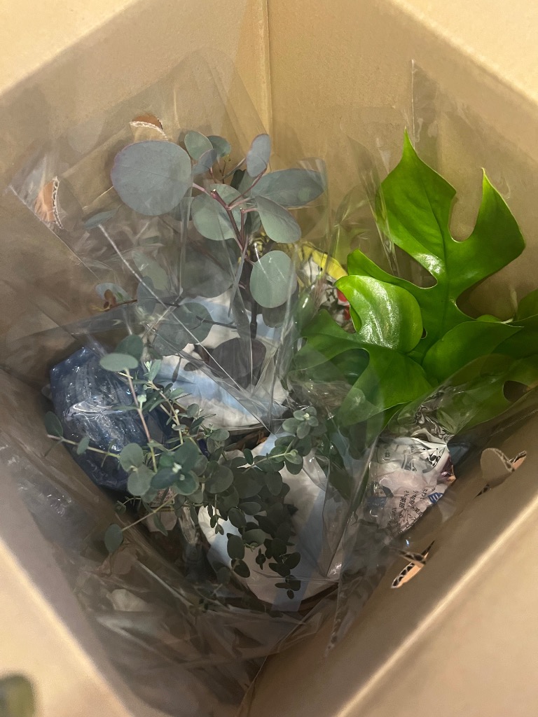 1件目のレビュー画像 | 1