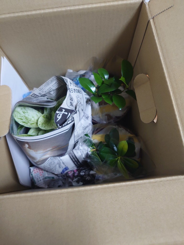 1件目のレビュー画像 | 0