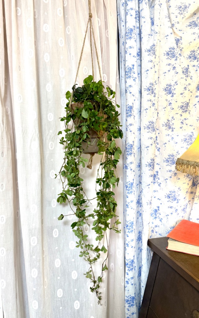 9件目のレビュー画像 | 0