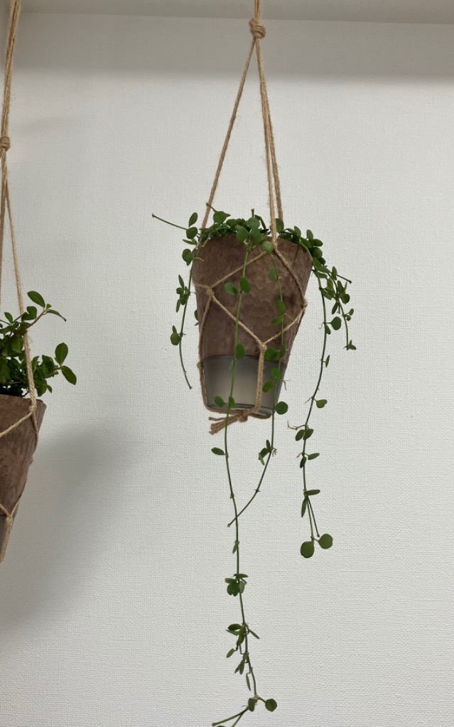 全体のレビュー画像 | 0-0