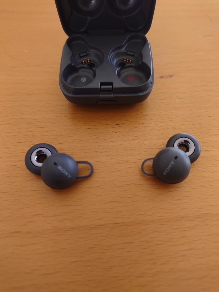 SONY SONY（ソニー） Bluetoothヘッドホン LinkBuds WF-L900 HM