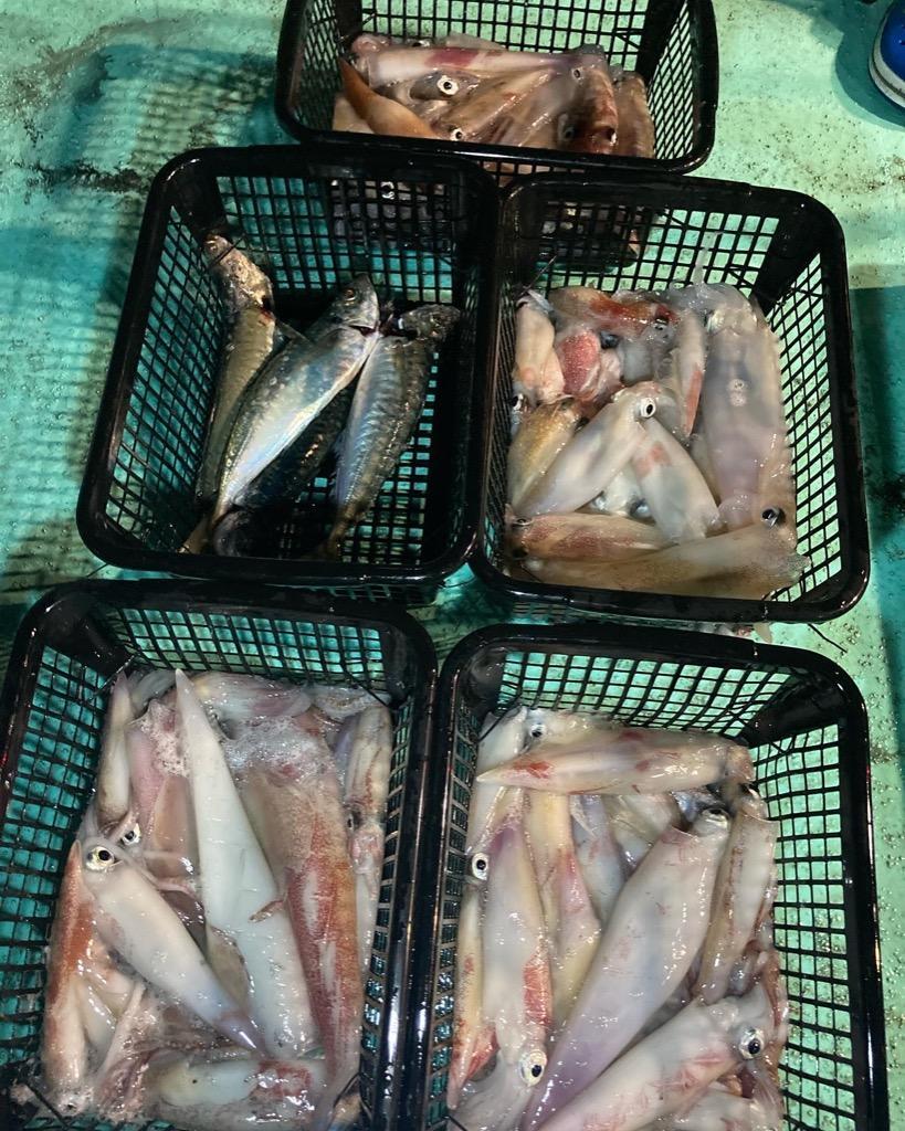 K'sガレージ 集魚灯 イカ アジ 釣り 同色2台セット 54w オレンジ