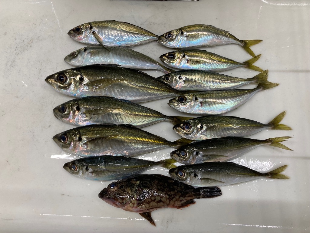 K'sガレージ 集魚灯 12v アジ 釣り 青 45w バッテリー 接続