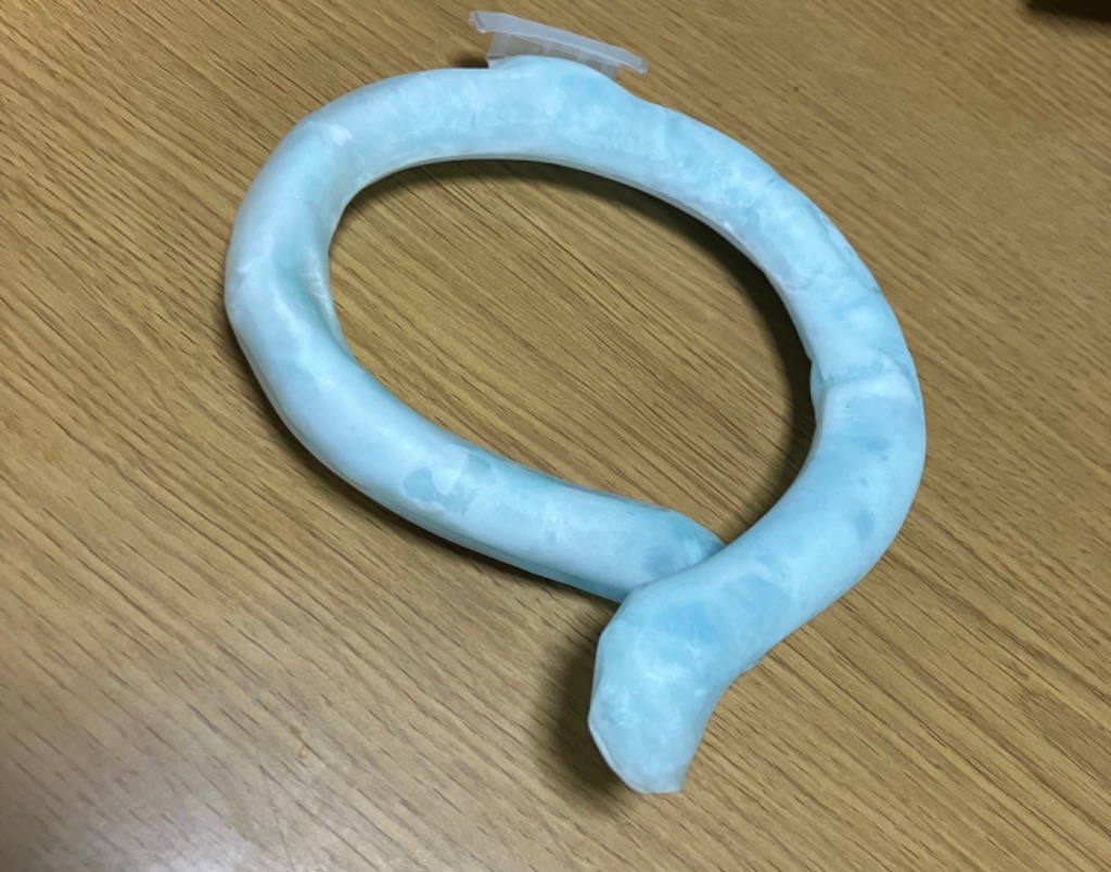 レビュー画像