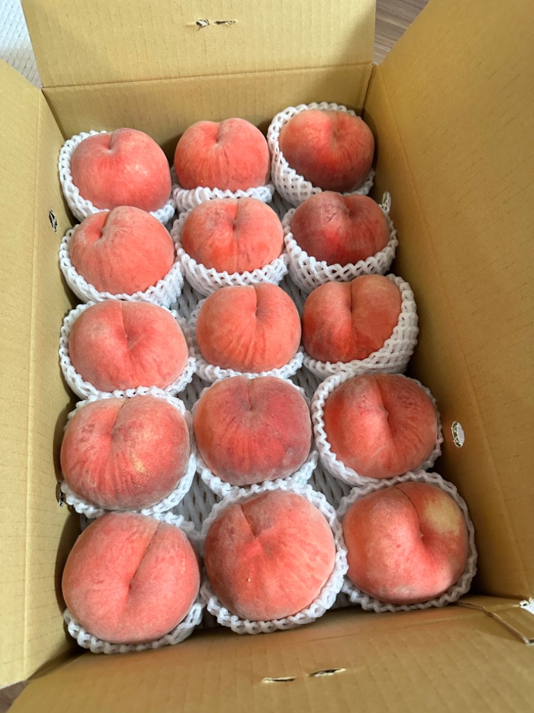 夏むすめ 硬い桃です 5kg 中玉 : くだもの屋 - 通販 - Yahoo