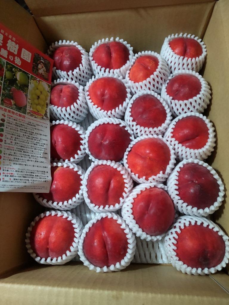 Jrsjy、秋映え１５キロ３段入り＋ネクタリン秀峰９キロ以上訳あり家庭用 nectarine-flavor-w2k.jpg
