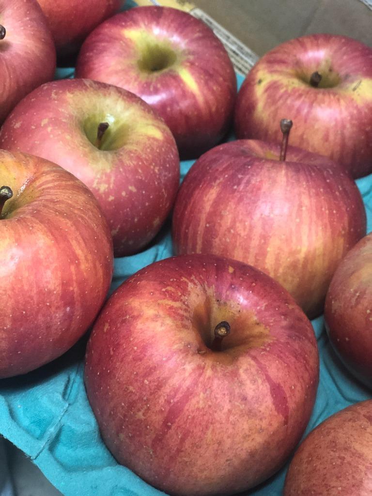 はねだしサンふじ リンゴ 約10kg 送料無料 長野りんごのレビュー 口コミ Yahoo ショッピング Paypayボーナスがもらえる ネット通販