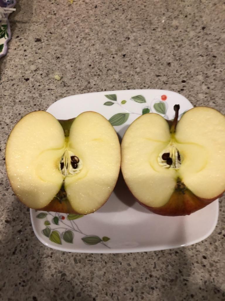 りんご 青森 葉とらず サンふじ ご家庭用 約6kg 約3kg×2箱 ちょっぴり 訳あり 送料無料 産直 世界が認めたリンゴ Y常